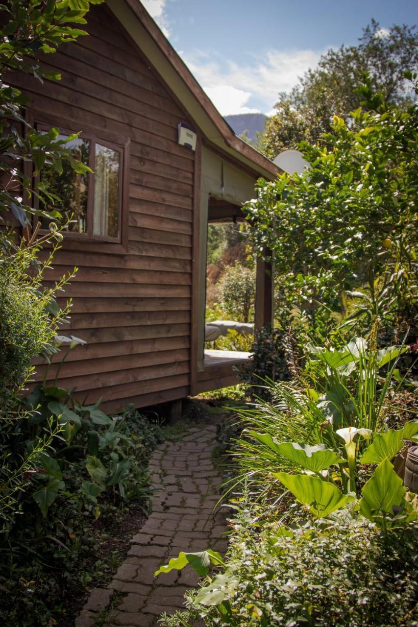 Pear Tree Cottage สตอร์มริเวอร์ ภายนอก รูปภาพ
